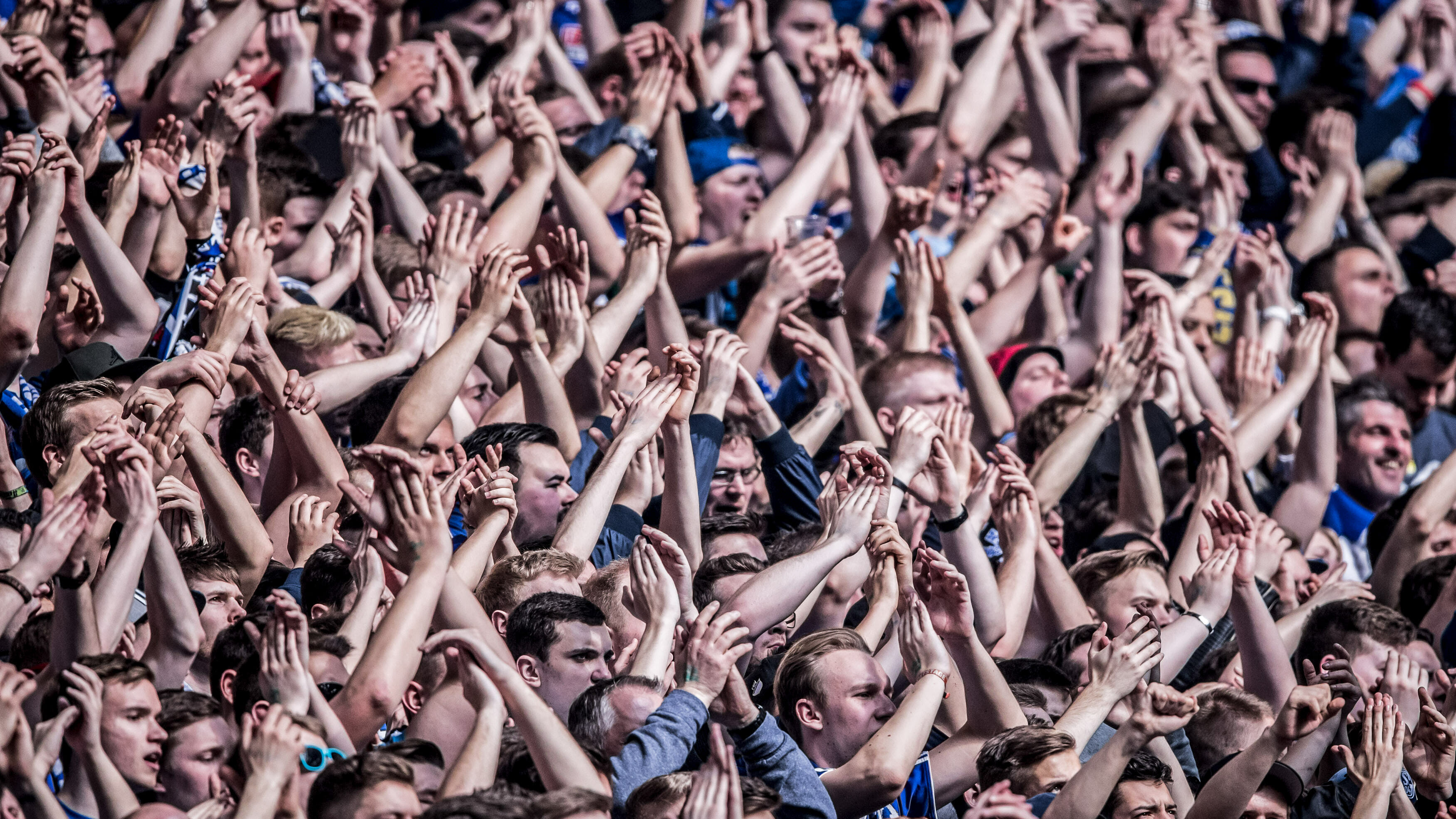 Fans in der VELTINS-Arena