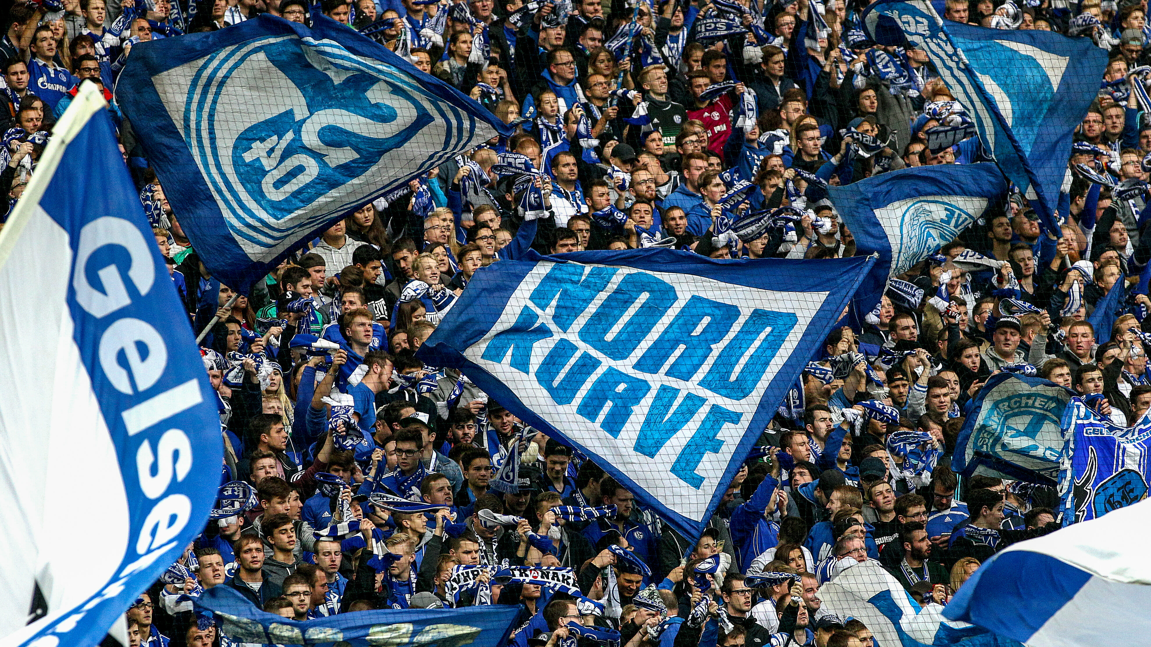 Fans in der Nordkurve