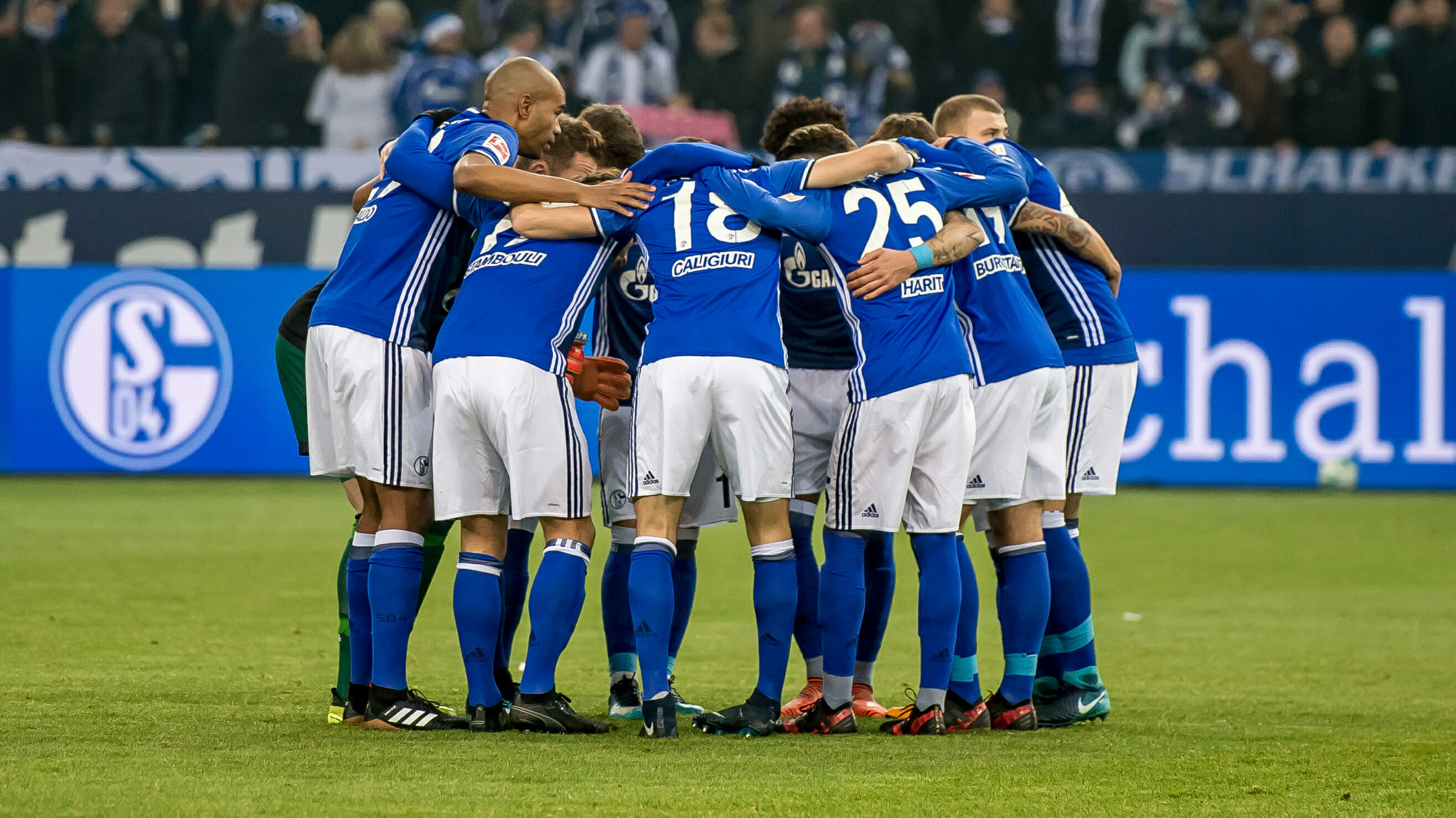 Schalkes Team gegen Köln.