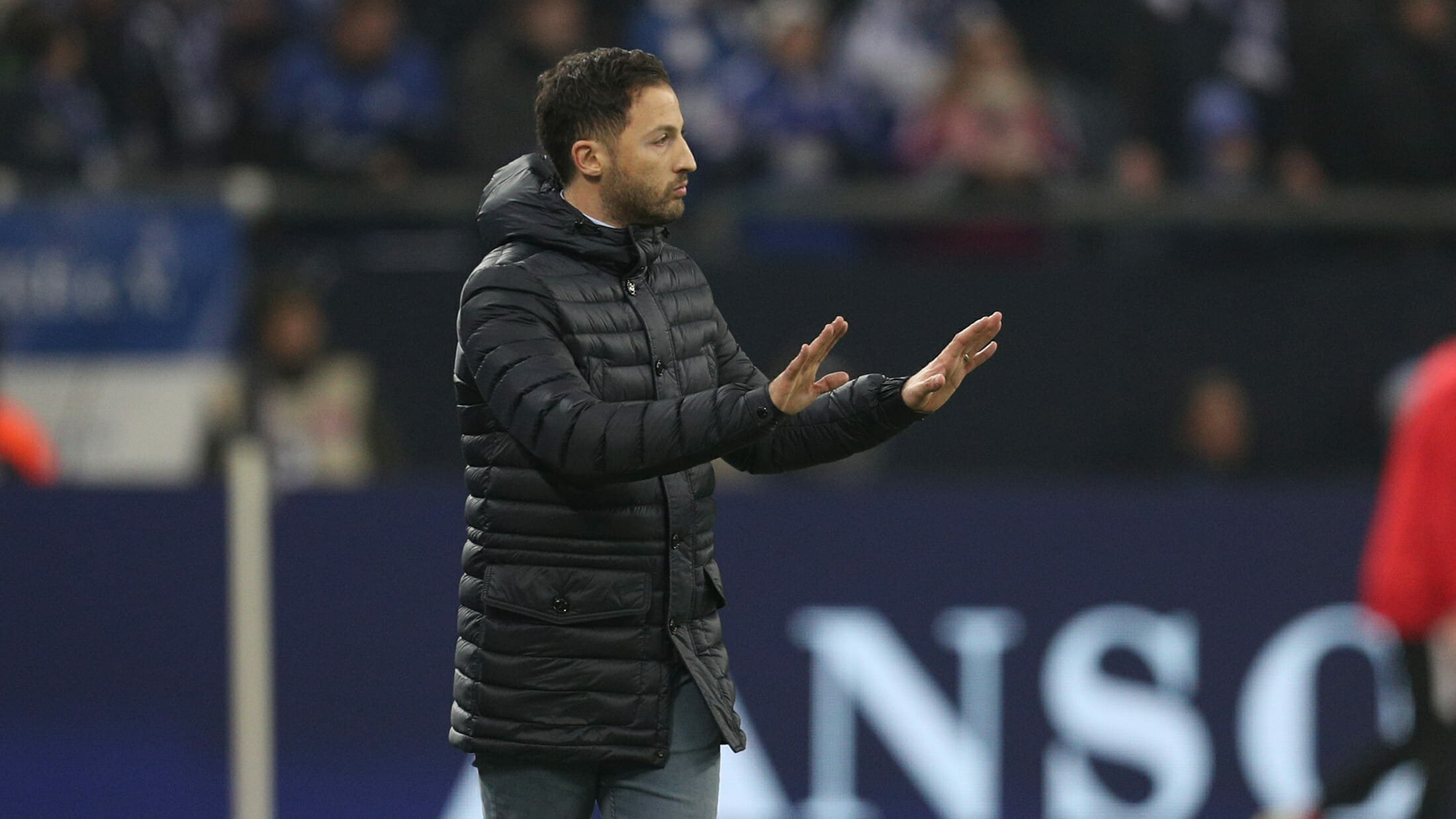 Trainer | Domenico Tedesco