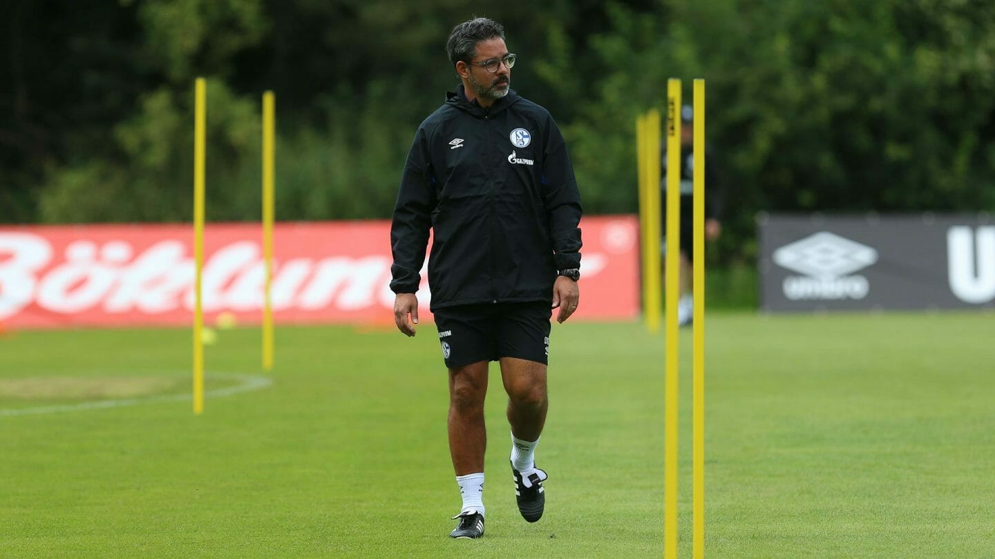 David Wagner
