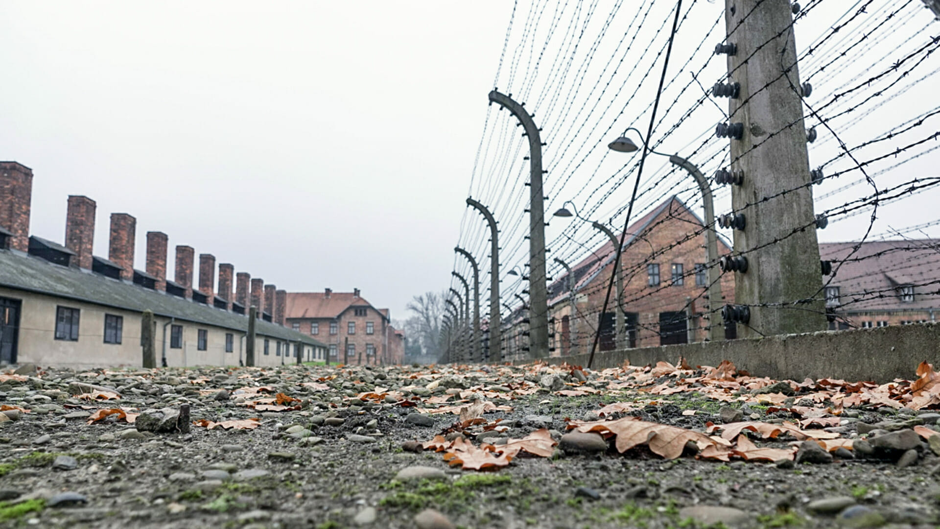 titel &#8211; Gedenkstättenfahrt Auschwitz