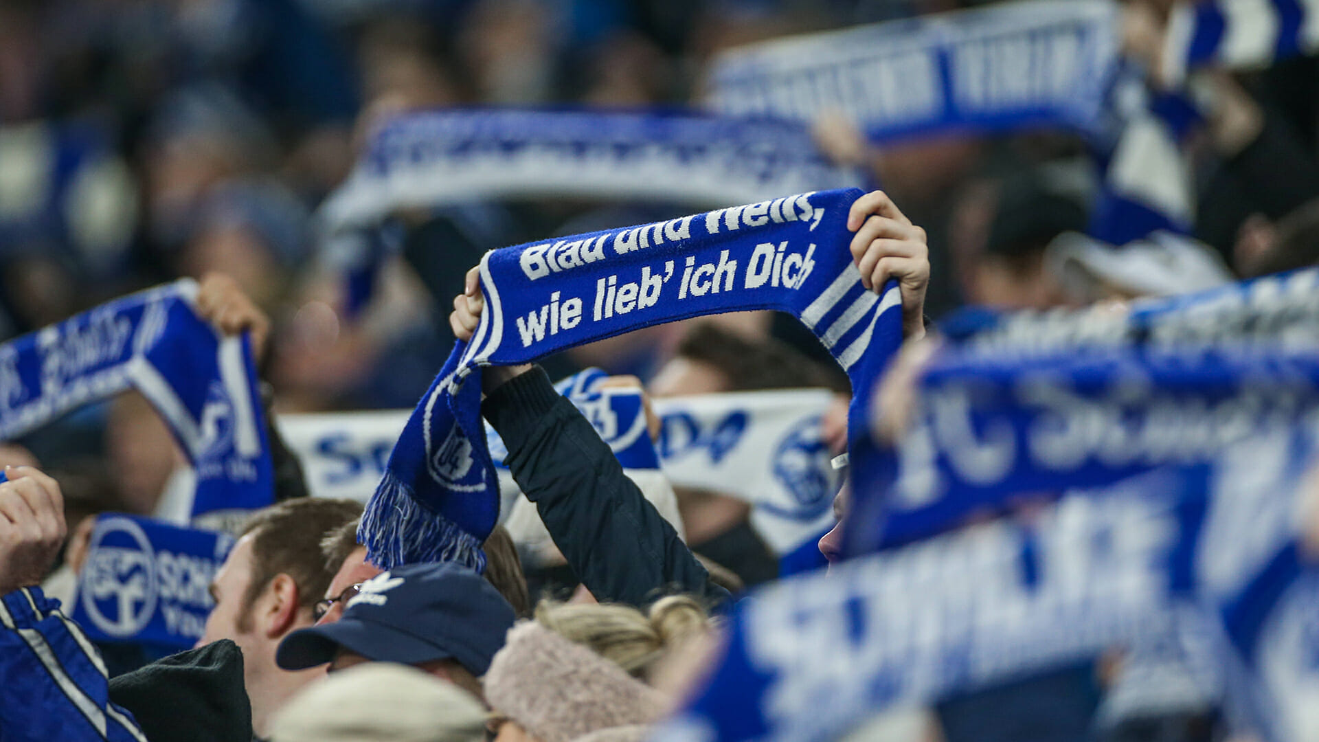 Fans, FC Schalke 04