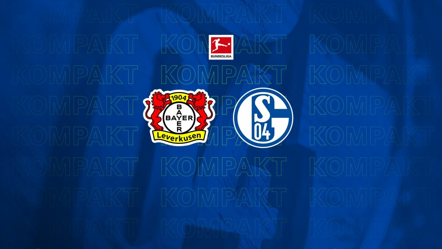 Königsblau kompakt: Alle Infos zu #B04S04