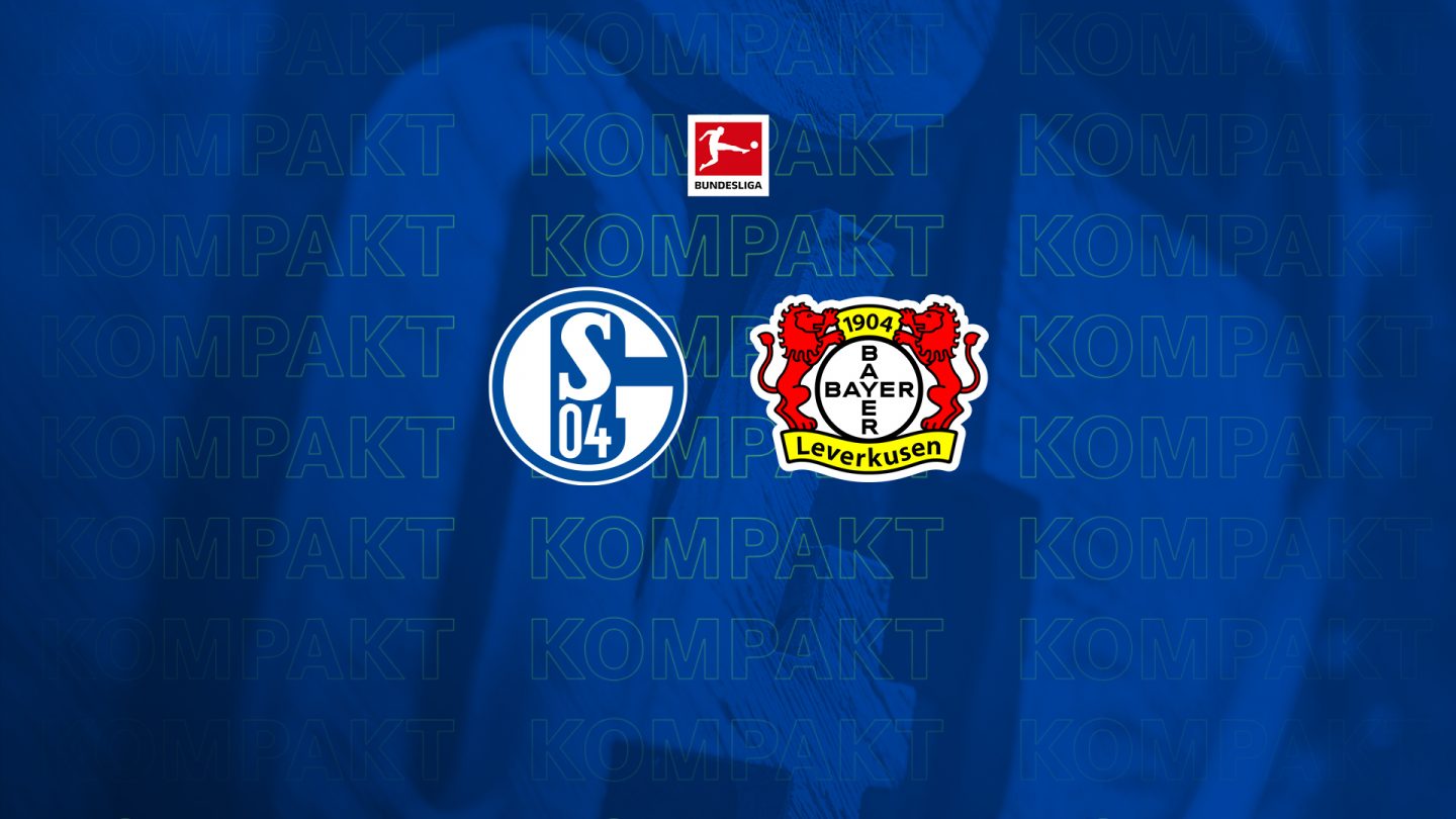 Königsblau kompakt: Alle Infos zu #S04B04