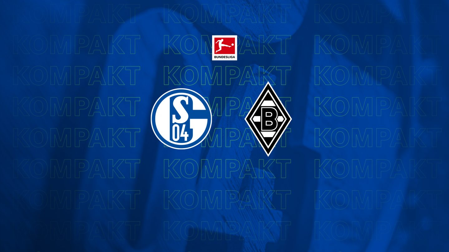 Königsblau kompakt: Alle Infos zu #S04BMG