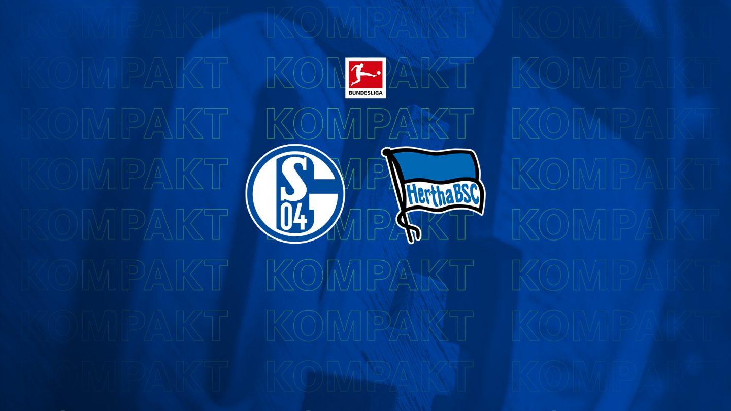 Königsblau kompakt: Alle Infos zu #S04BSC