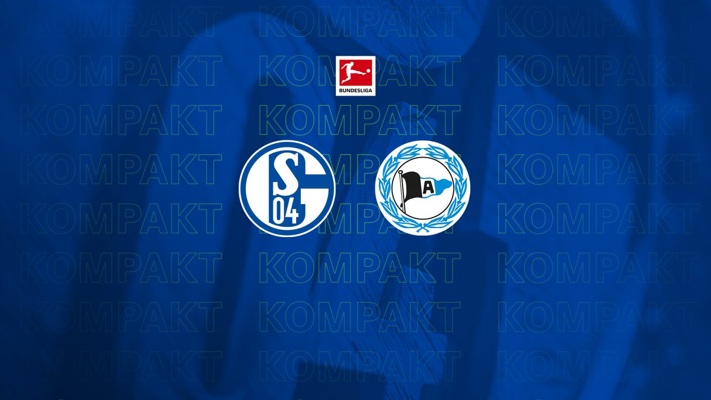 Königsblau kompakt: Alle Infos zu #S04DSC