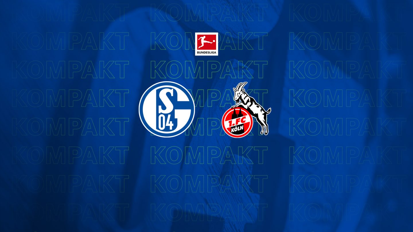 Königsblau kompakt: Alle Infos zu #S04KOE