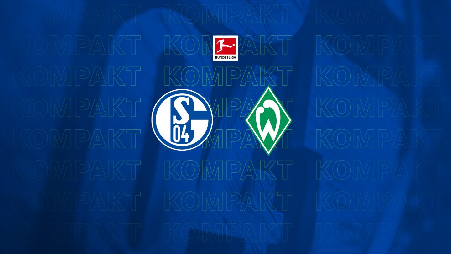 Königsblau kompakt: Alle Infos zu #S04SVW