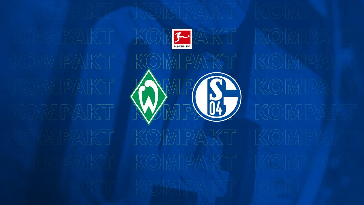 Königsblau kompakt: Alle Infos zu #SVWS04