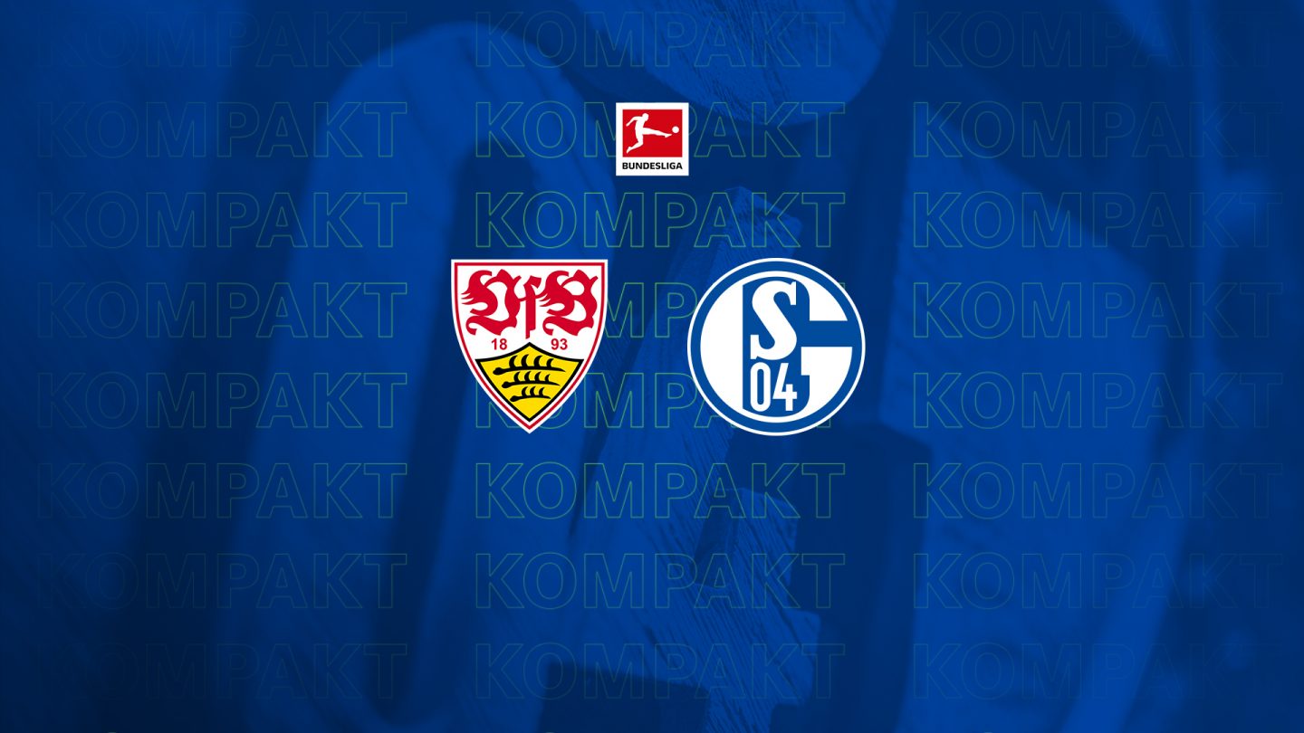 Königsblau kompakt: Alle Infos zu #VFBS04