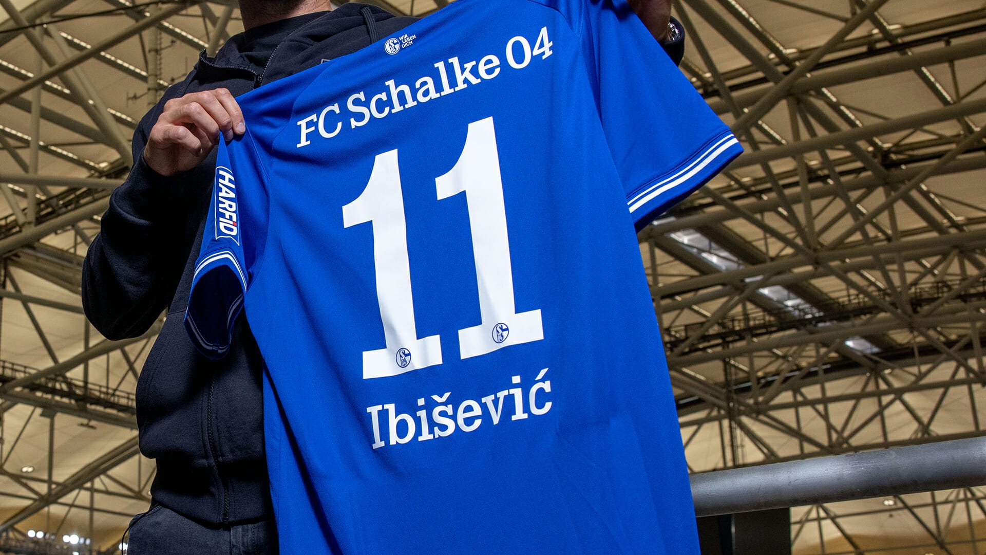 Ibisevic-Trikot