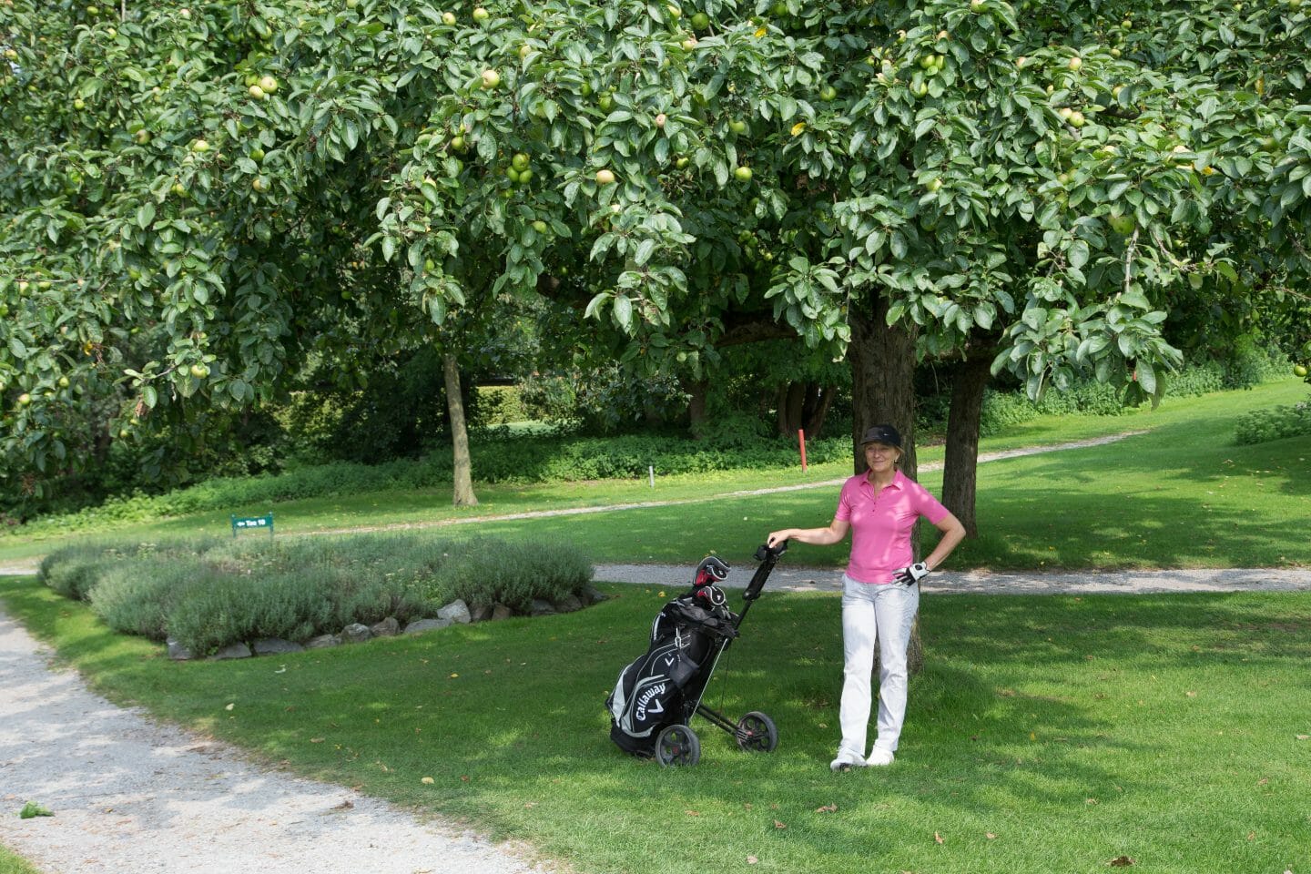 Golfturnier 2014 Schalker Golfkreis