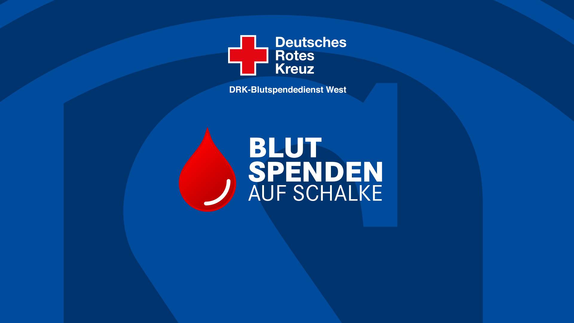 Blut spenden auf Schalke