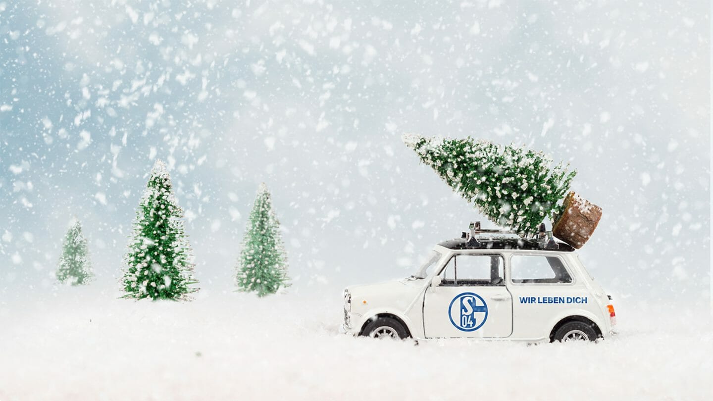 Weihnachtsbäume für Schalke-Partner und Sponsoren