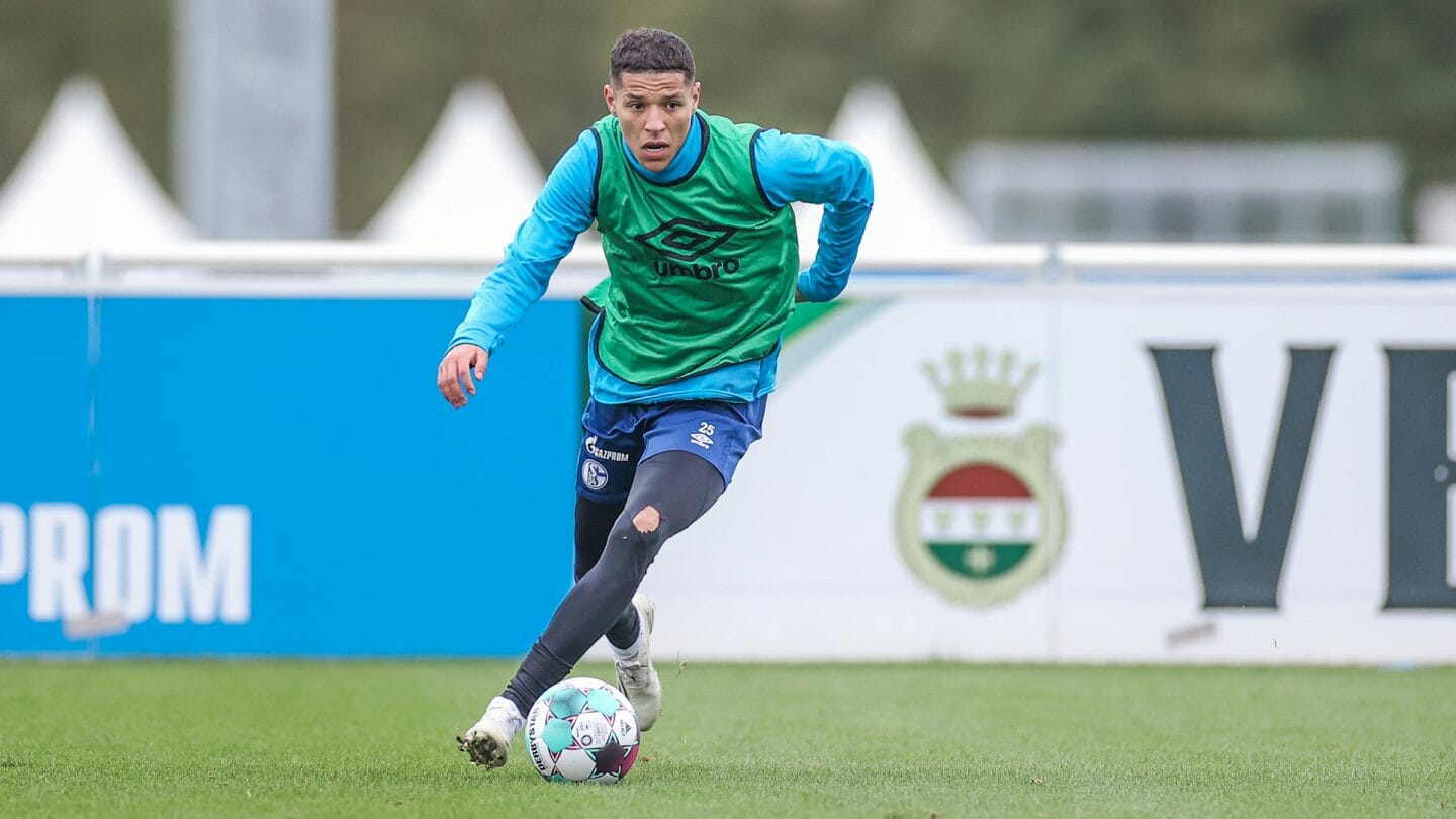 Amine Harit