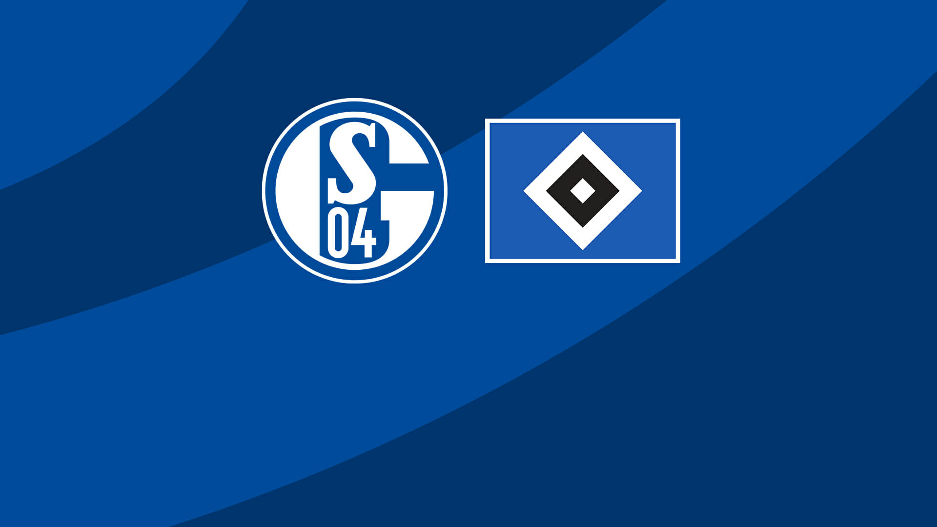 Schalke HSV