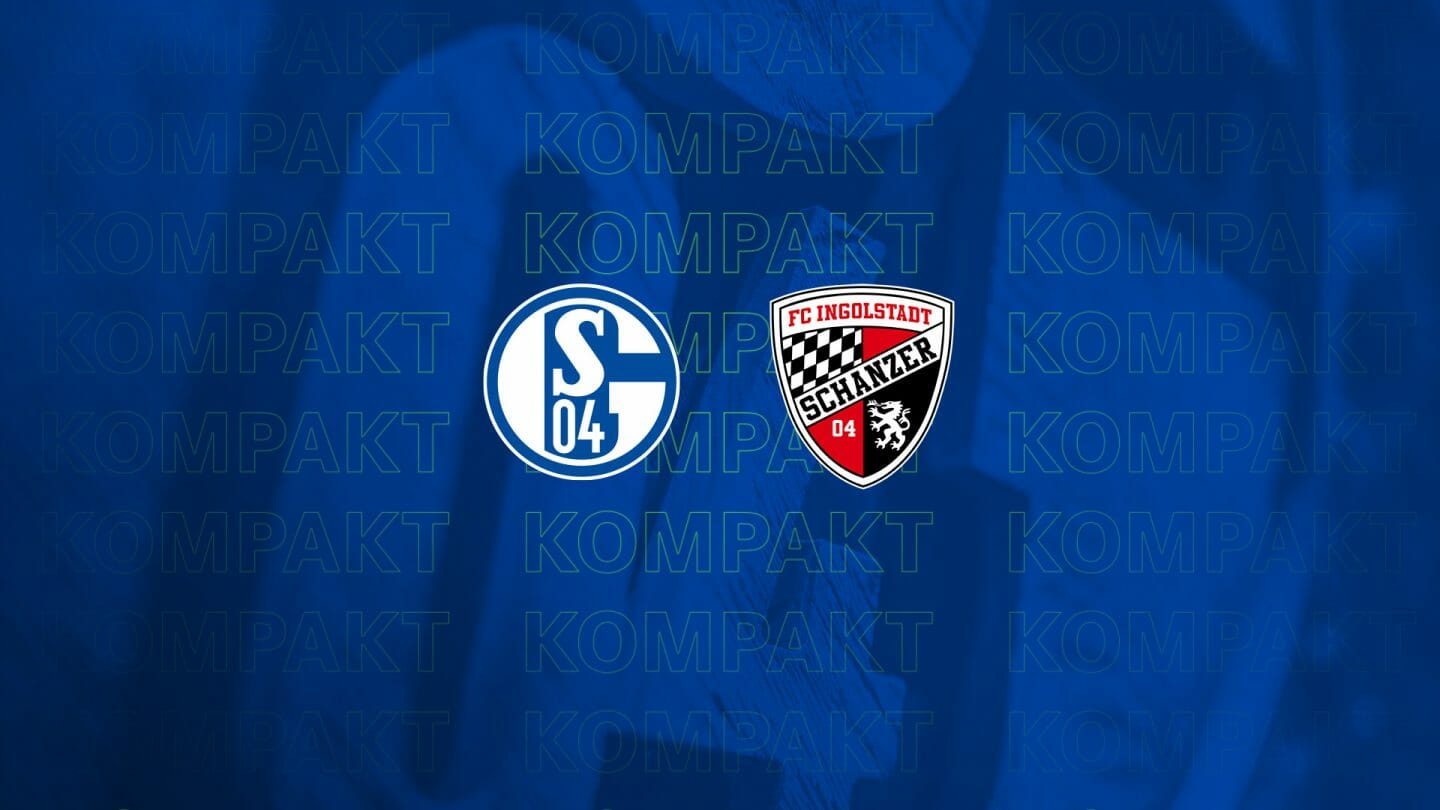 Königsblau kompakt: Alle Infos zu #S04FCI