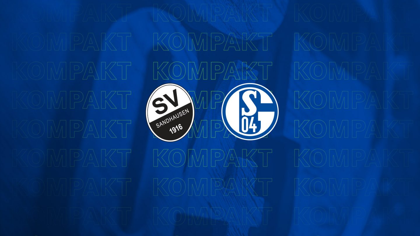 Königsblau kompakt: Alle Infos zu #SVSS04