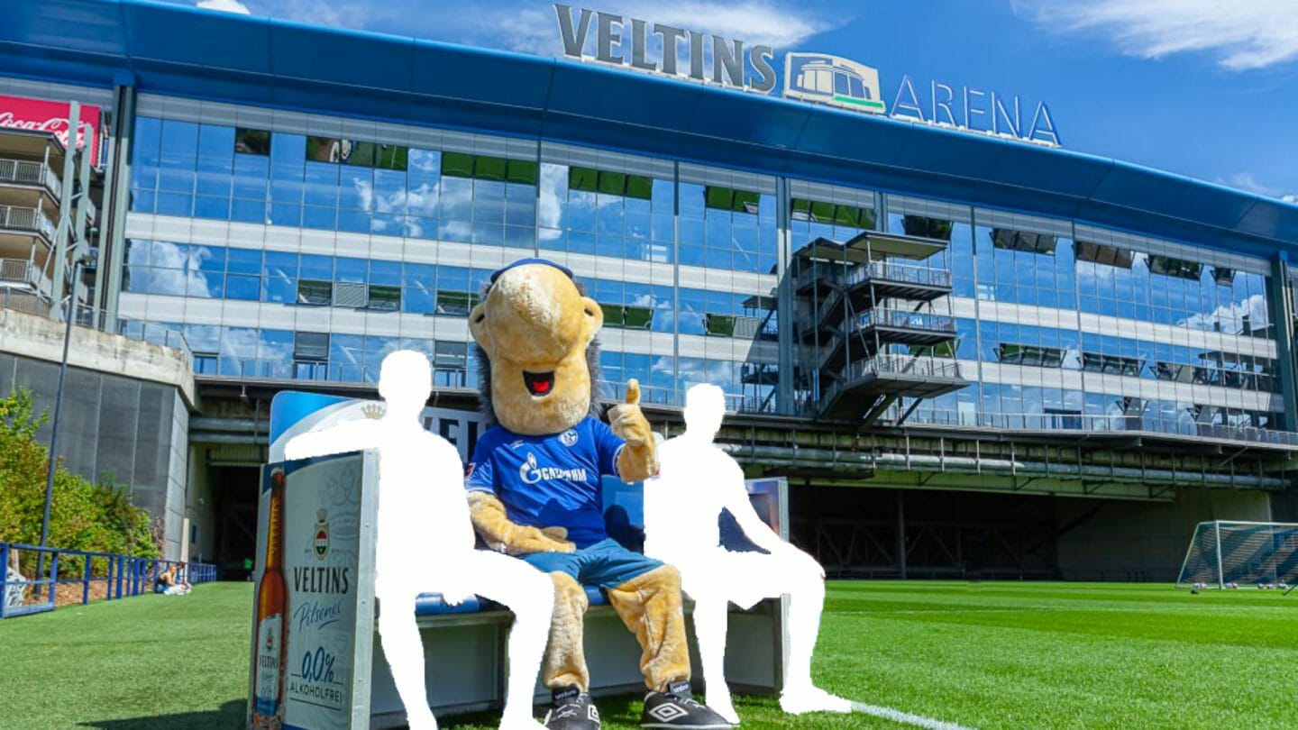 Veltins Fan-Bank