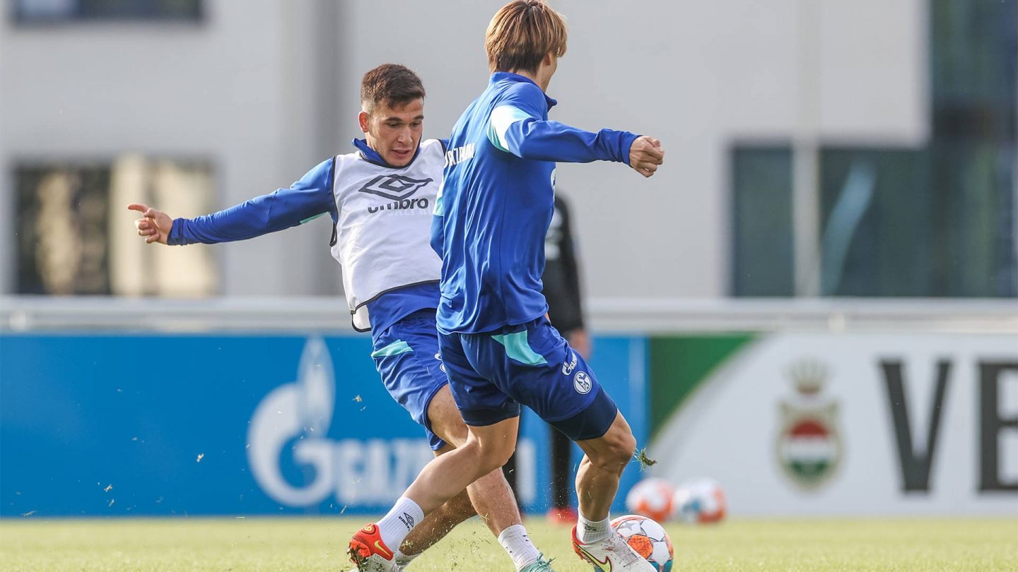 Training FC Schalke 04