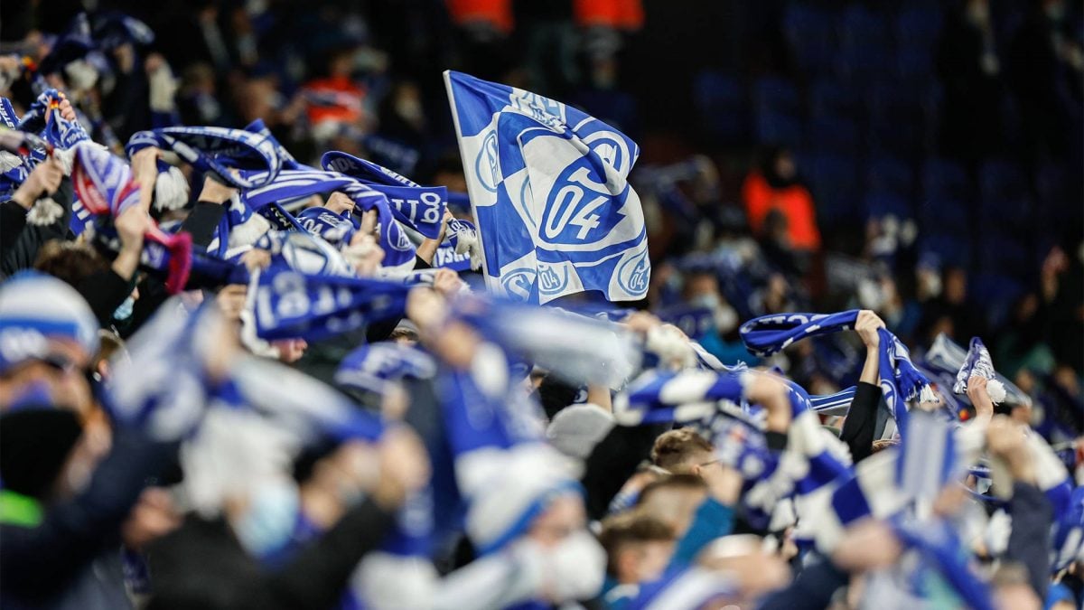 Fans in der VELTINS-Arena
