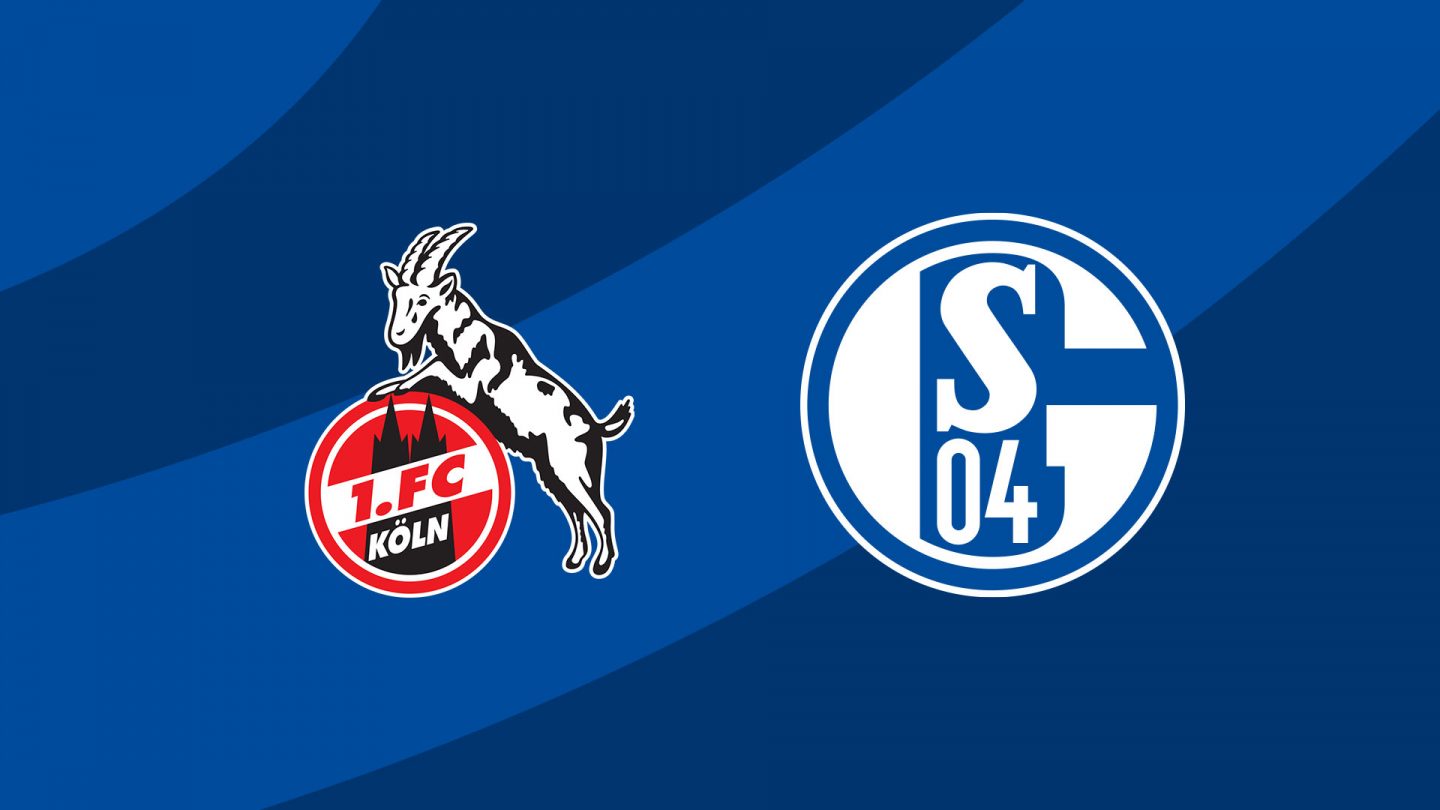 schalke gegen köln