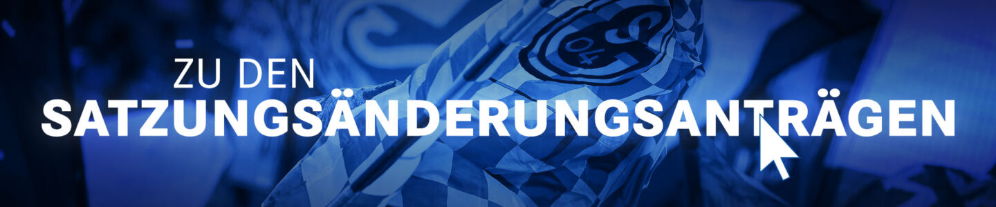 Zu den Satzungsänderungsanträgen