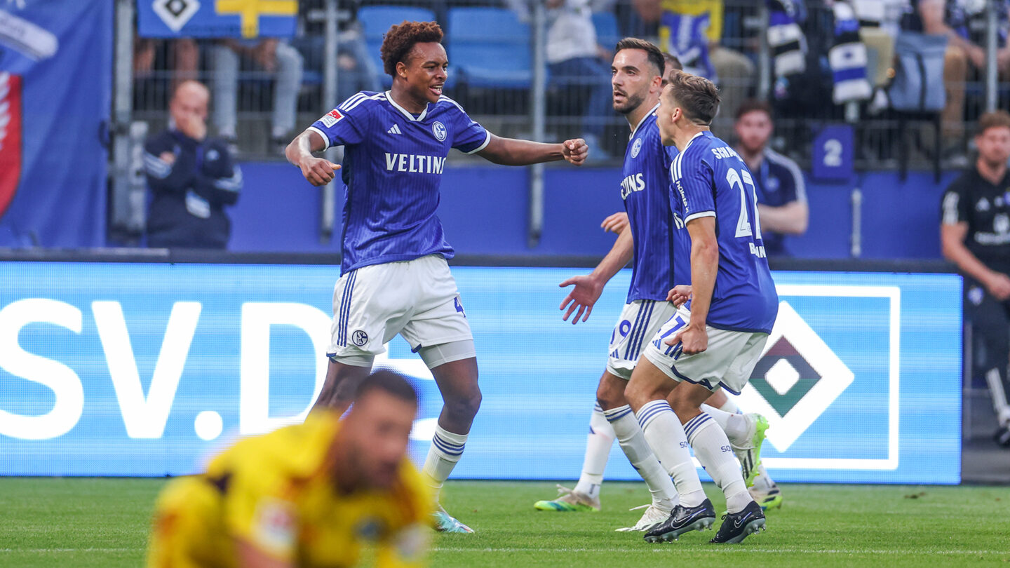 Hamburger SV - FC Schalke 04