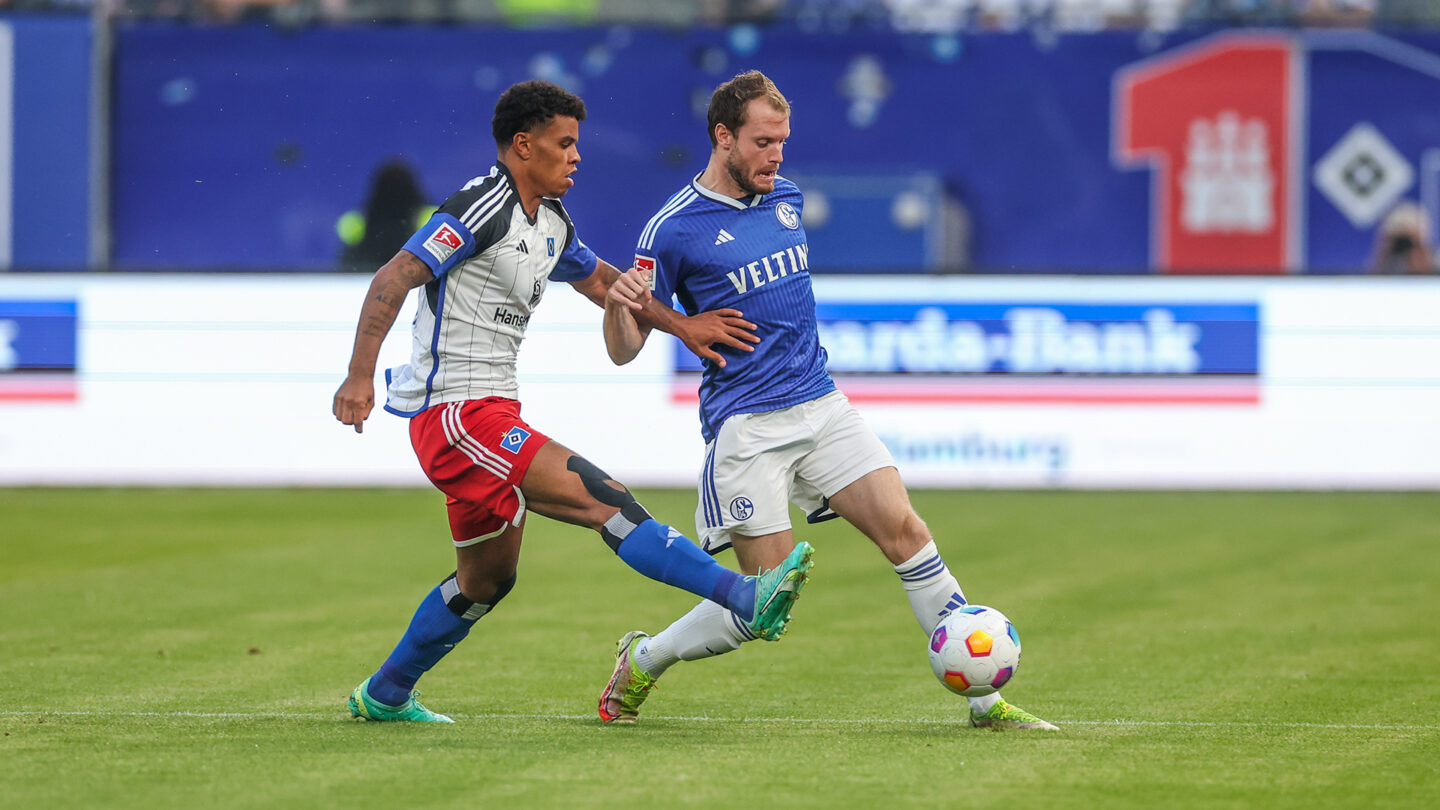 Hamburger SV - FC Schalke 04