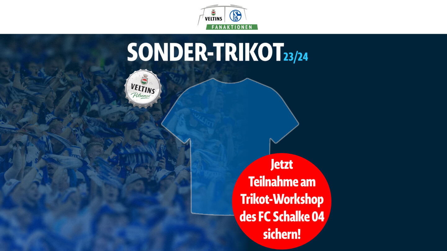 VELTINS-Sondertrikot