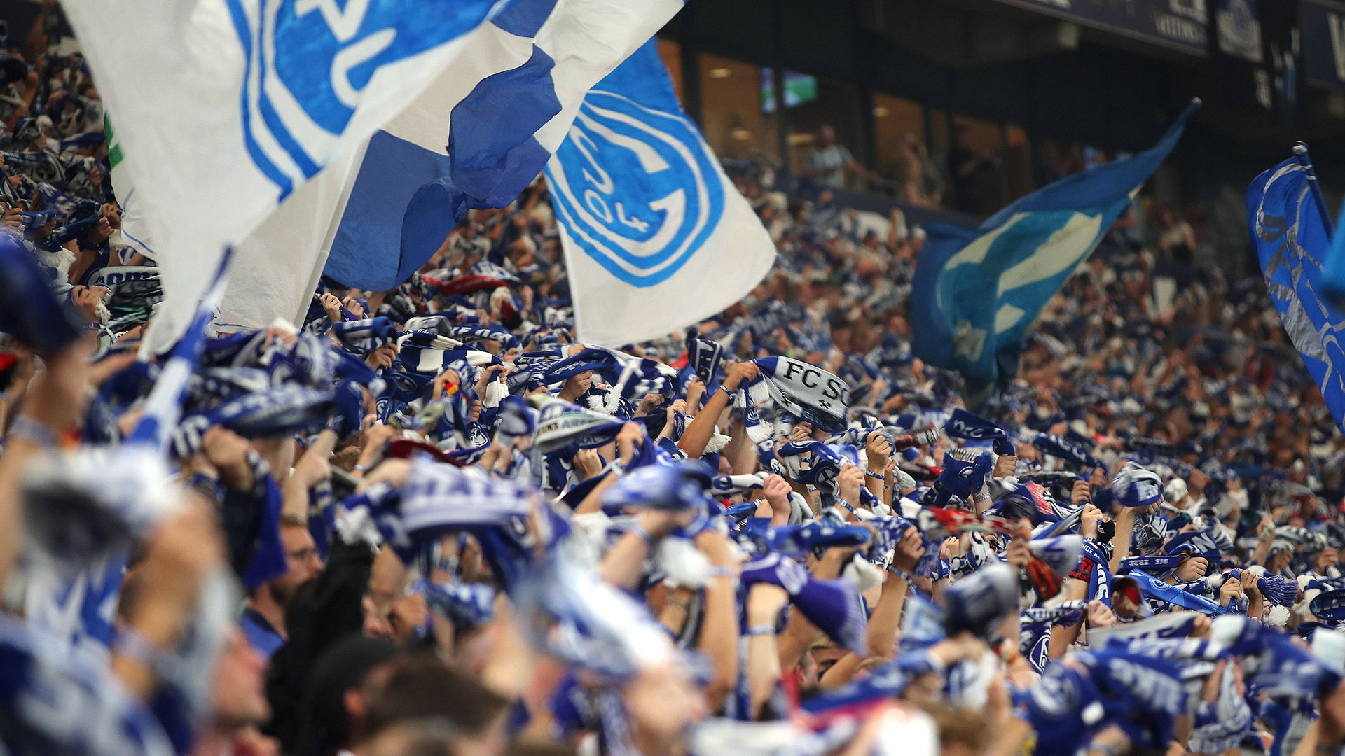 Fans des FC Schalke 04 beim Spiel der 2. BL (Saison 2023/24) FC Schalke 04 - Holstein Kiel. Copyright: Thomas Pakusch **