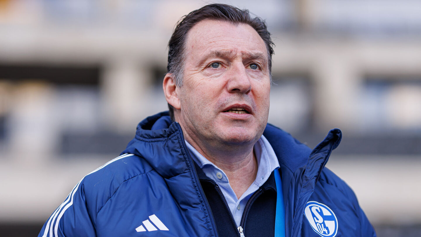 Marc Wilmots