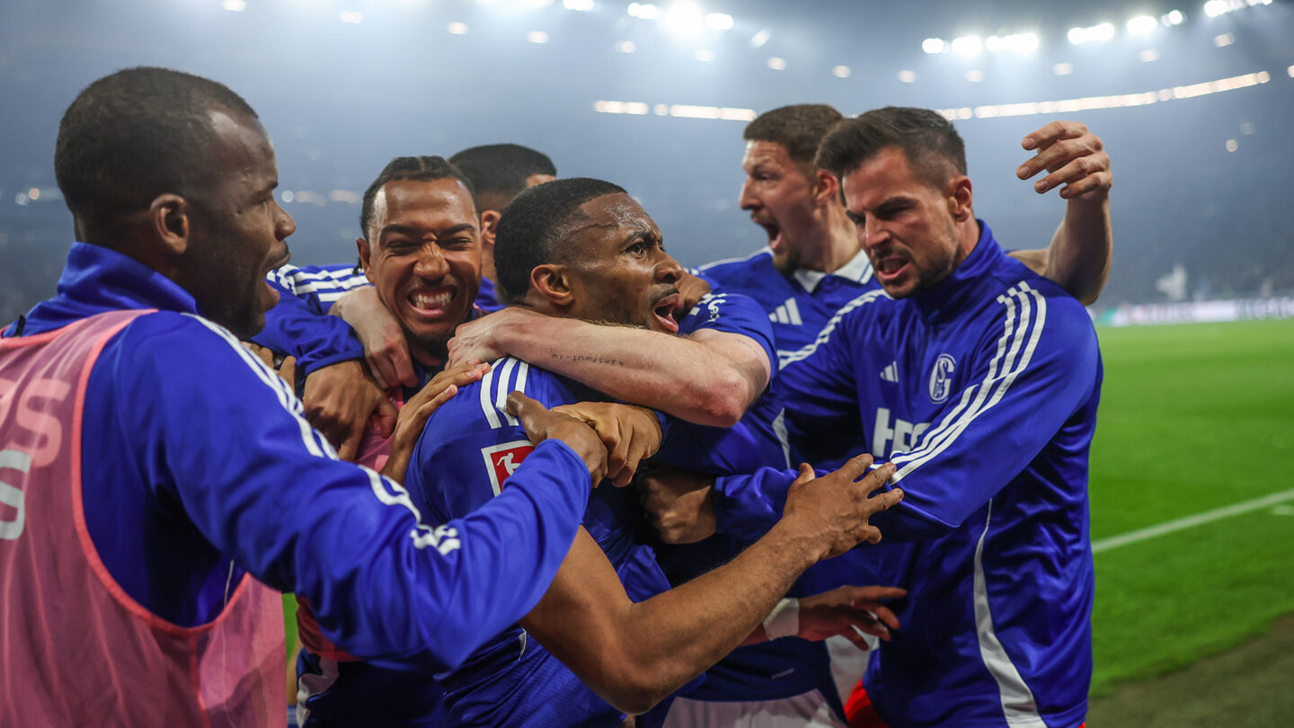 FC Schalke 04 - Hamburger SV
