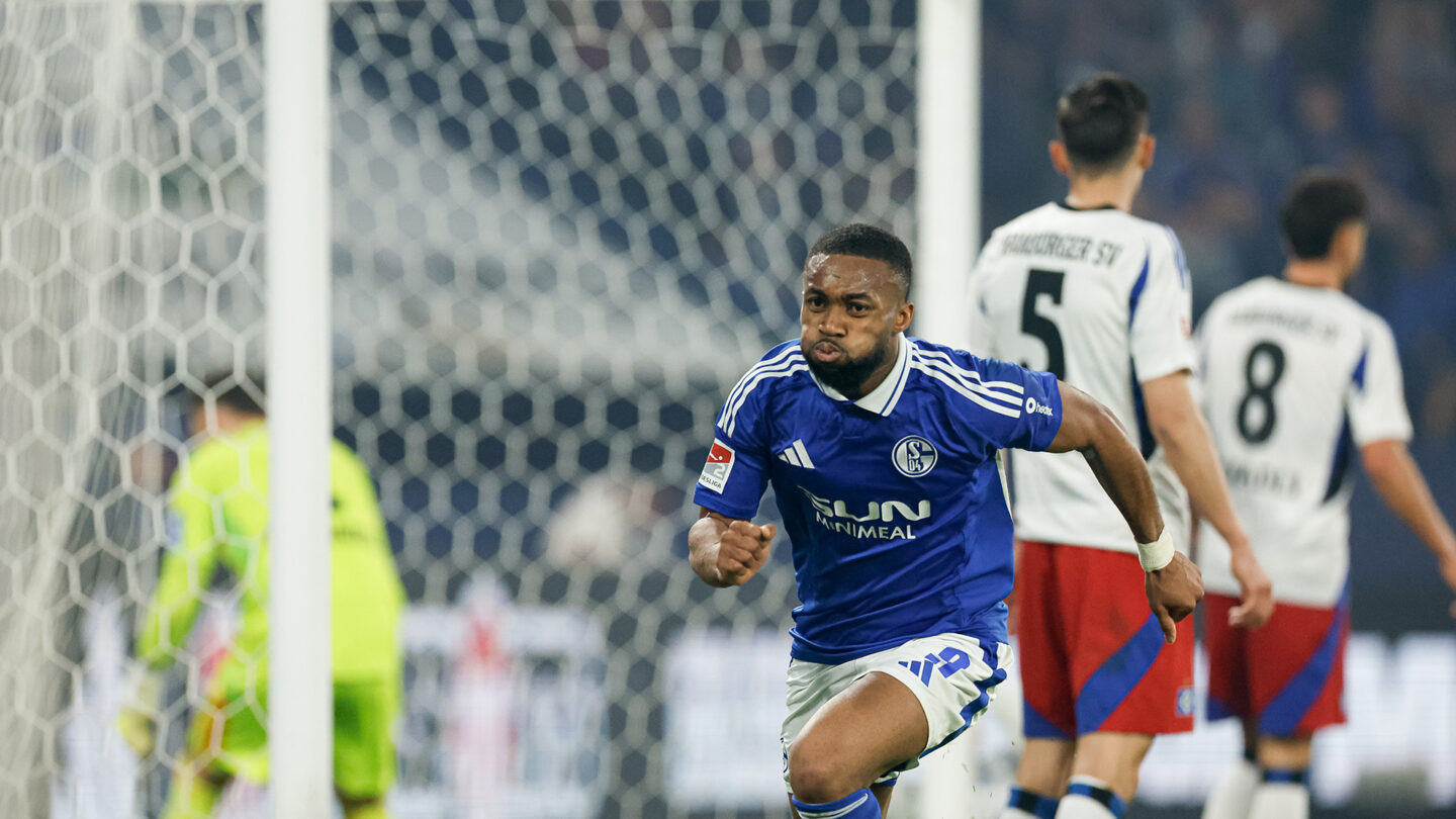 FC Schalke 04 - Hamburger SV