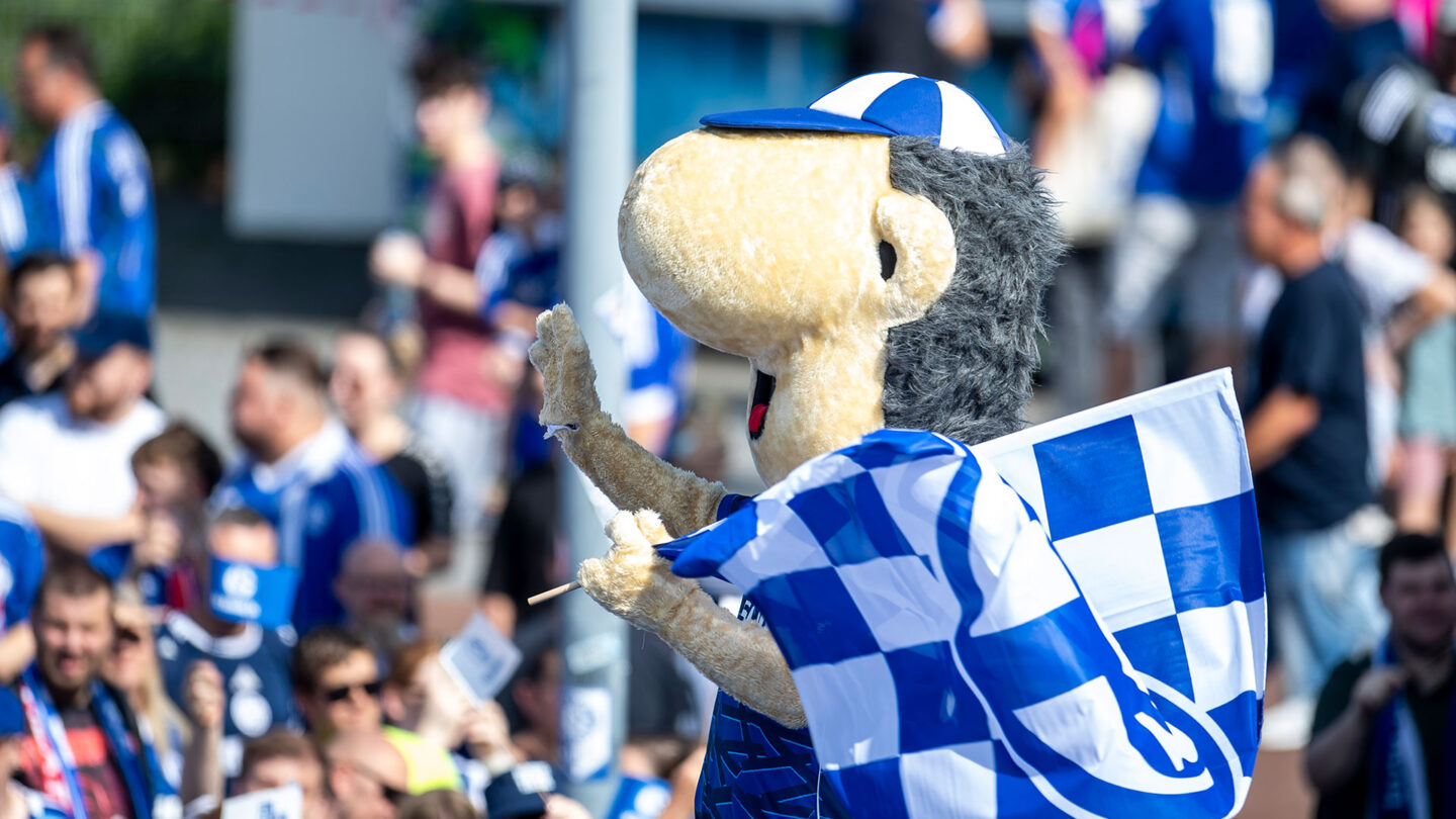 016-schalke-tach-2025