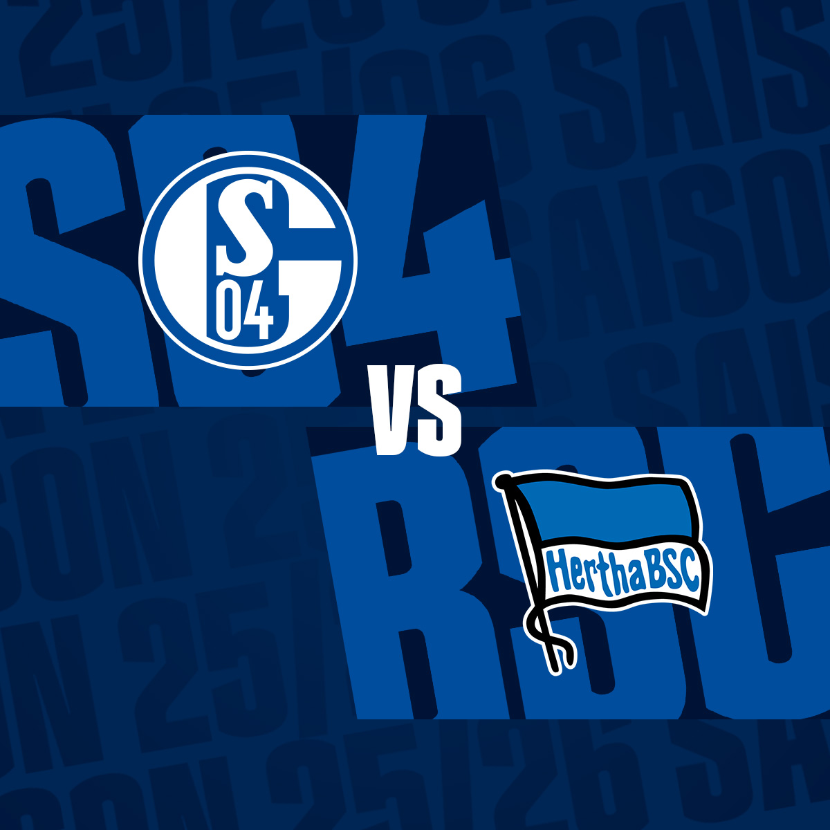 Spiel Schalke Hertha