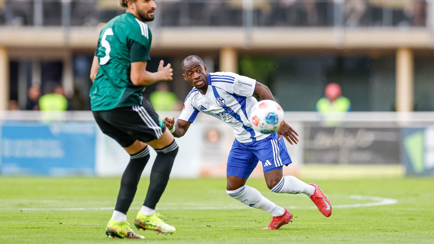 Schalke 04 - Panathinaikos