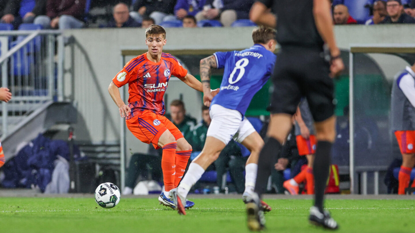 SV Darmstadt 98 - FC Schalke 04