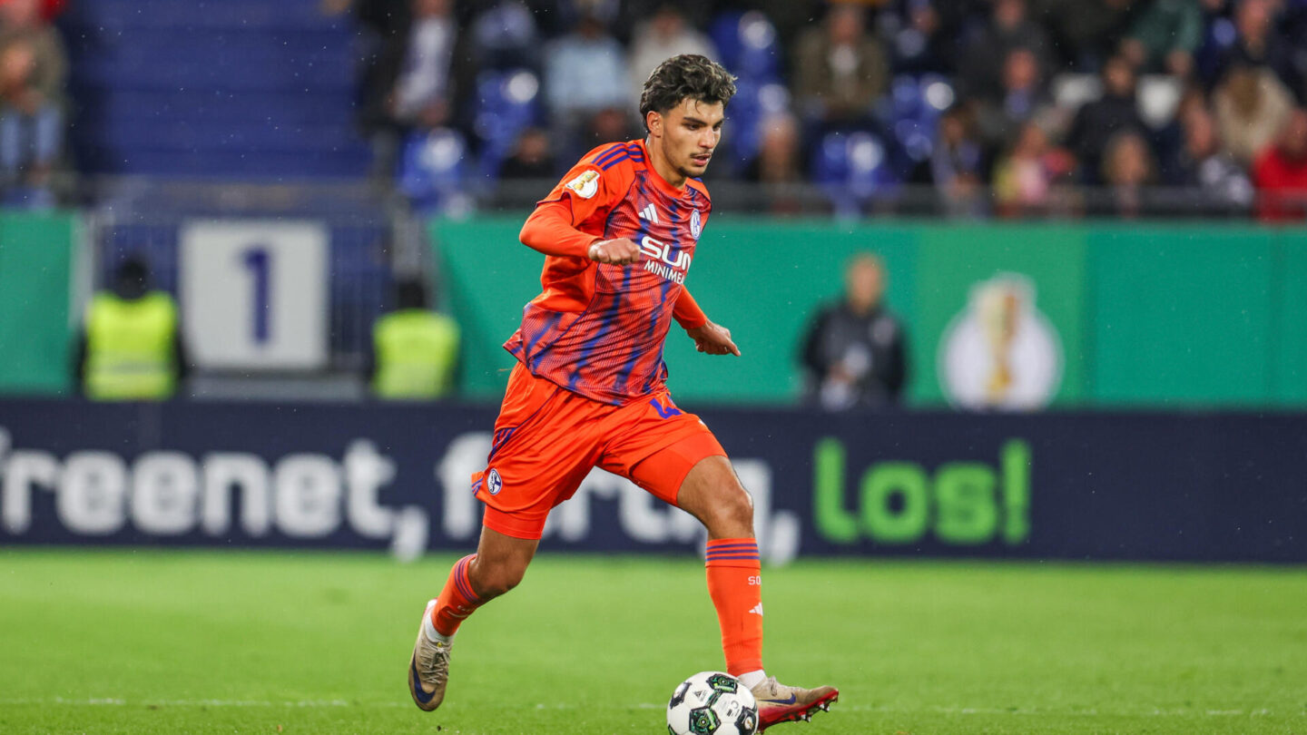 SV Darmstadt 98 - FC Schalke 04