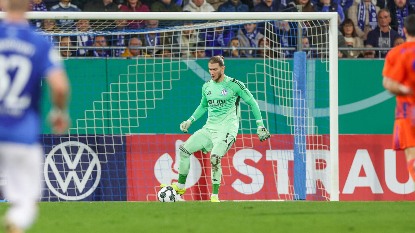 SV Darmstadt 98 - FC Schalke 04