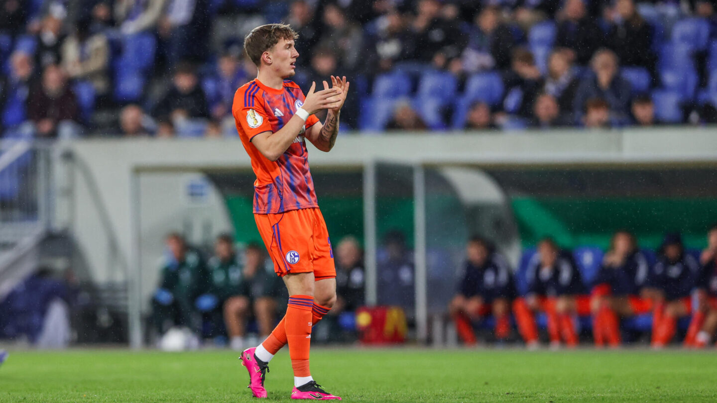 SV Darmstadt 98 - FC Schalke 04