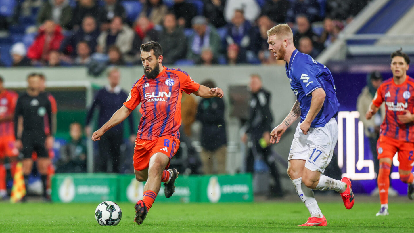 SV Darmstadt 98 - FC Schalke 04