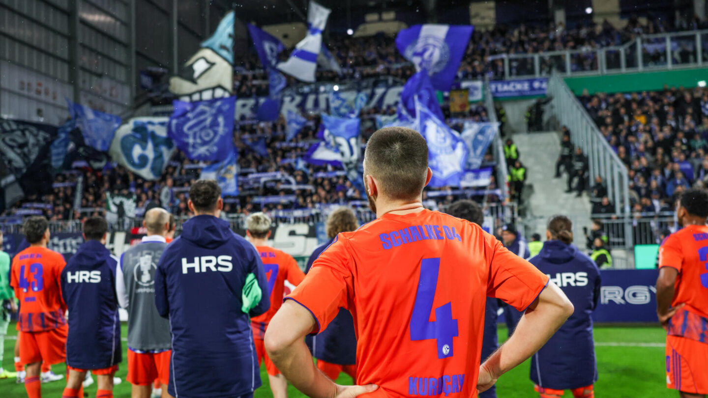 SV Darmstadt 98 - FC Schalke 04