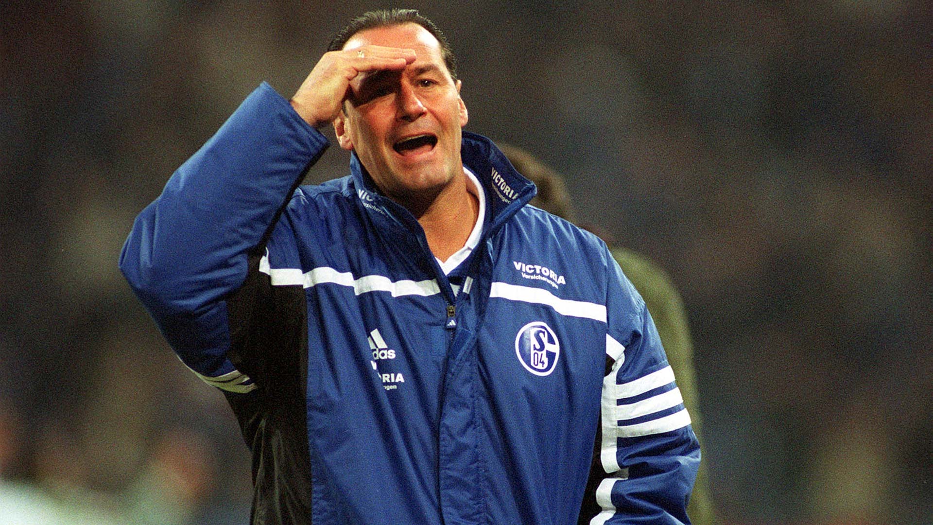 251024_darmstadt_schalke_stevens