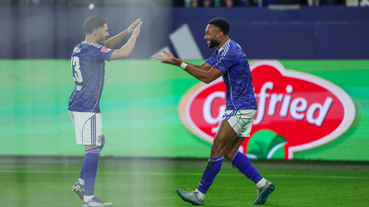 FC Schalke 04 - SV Darmstadt 98