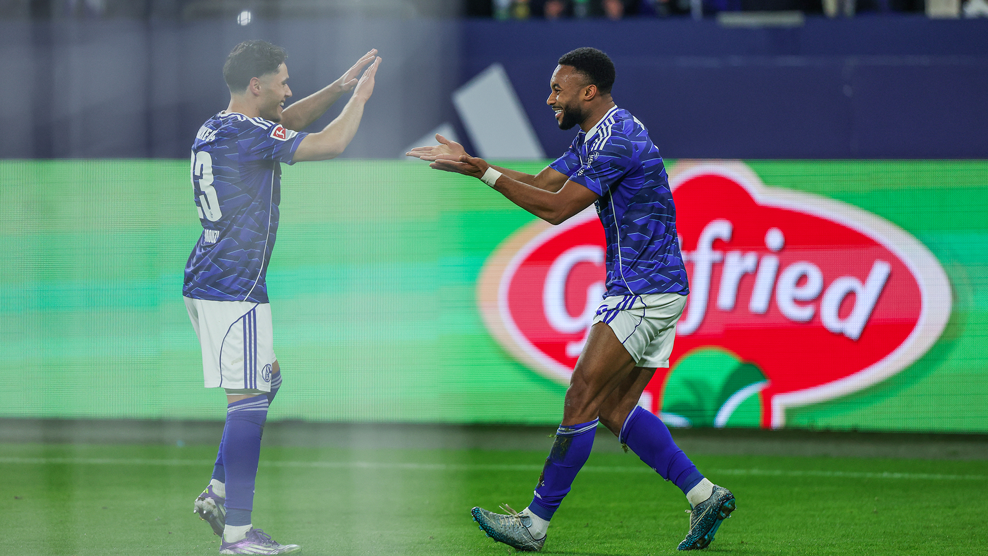 FC Schalke 04 &#8211; SV Darmstadt 98