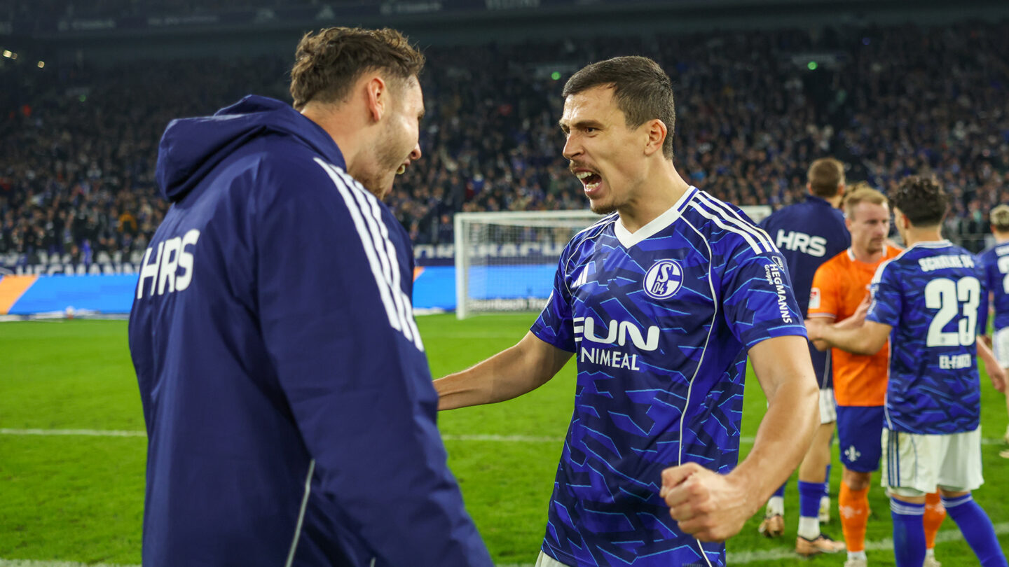 FC Schalke 04 - SV Darmstadt 98