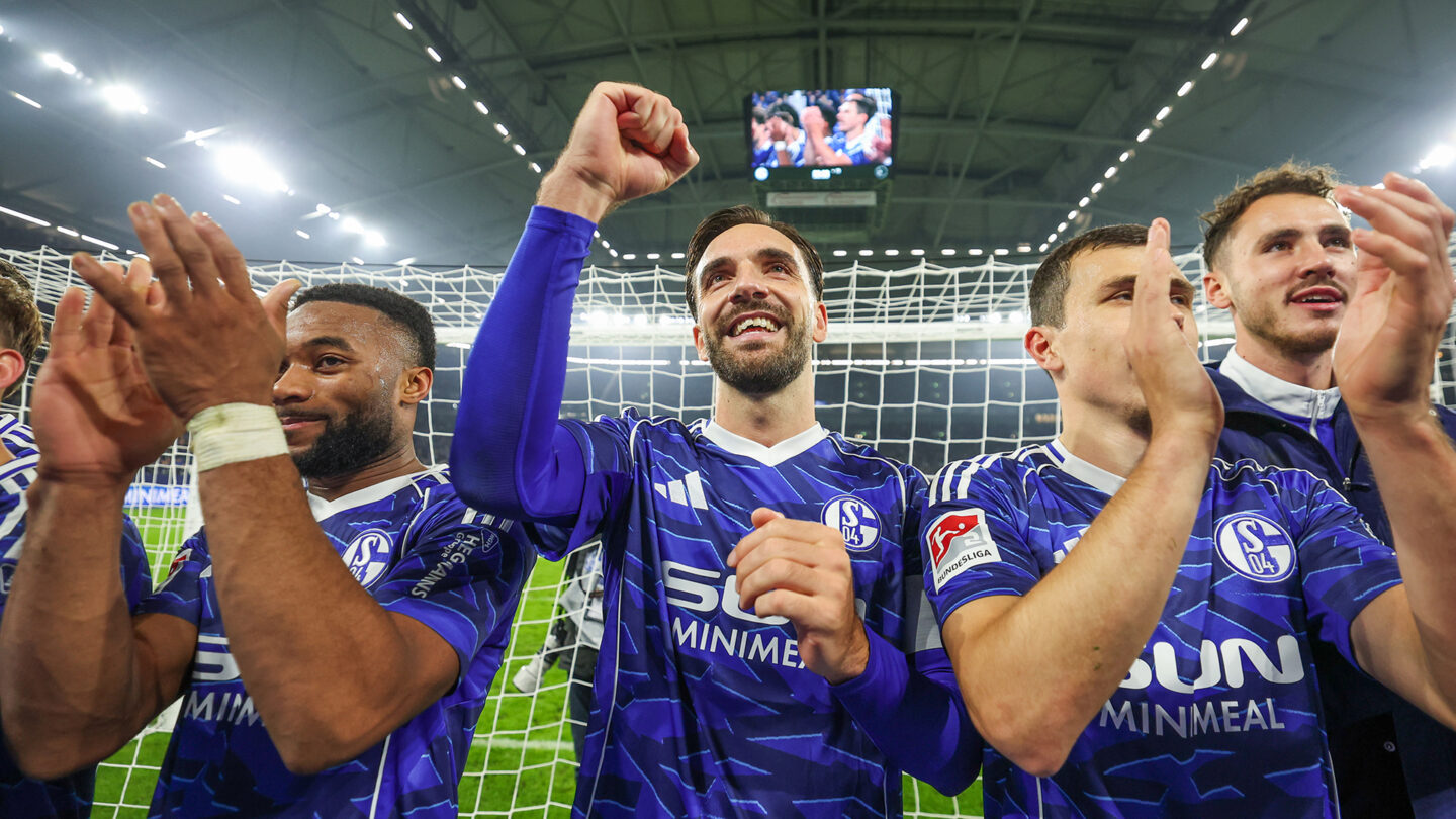 FC Schalke 04 - SV Darmstadt 98